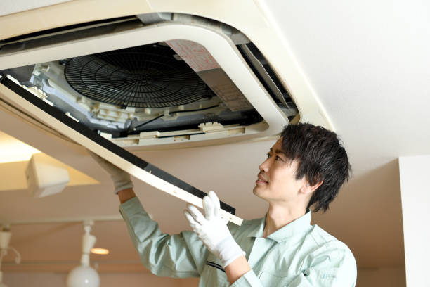 Best Affordable Air Duct Cleaning  in Lake Helen, FL